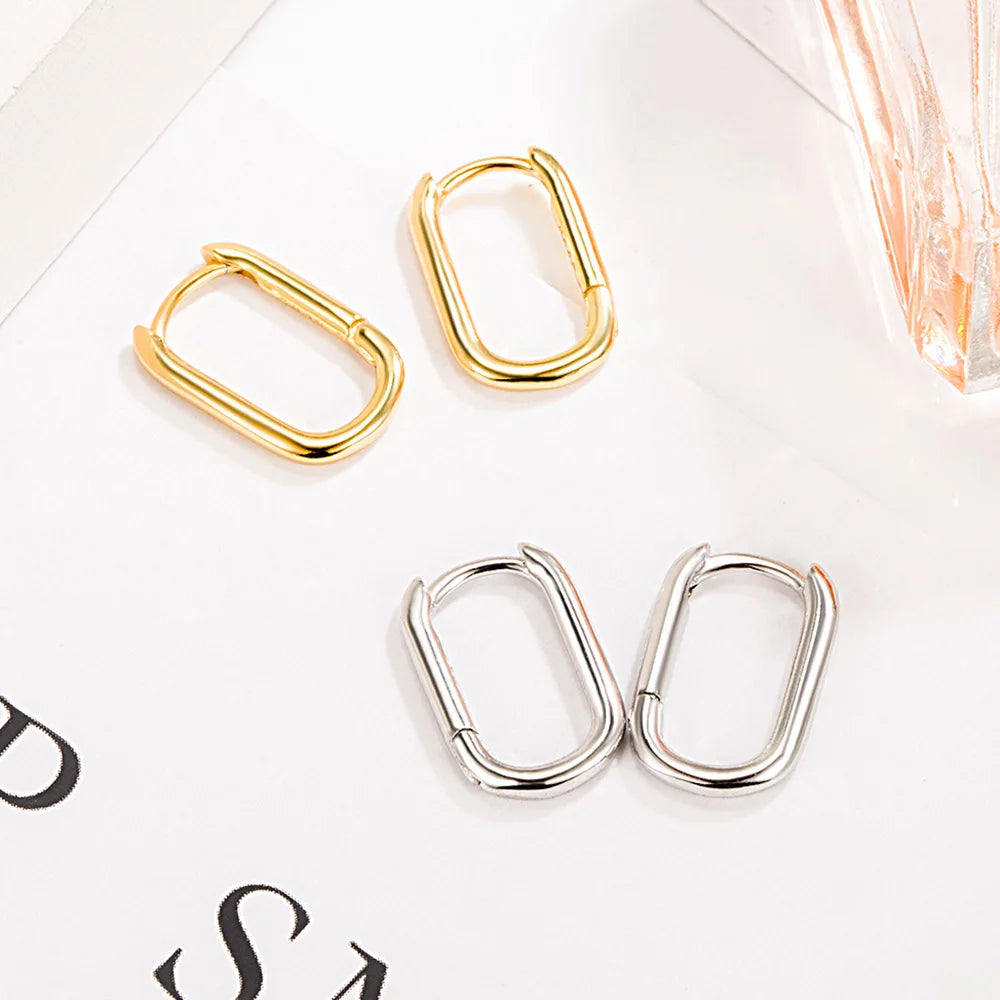 Solid 925 Sterling Silver Woman's Fashion Jewelry New Hoop Earrings FQL23622